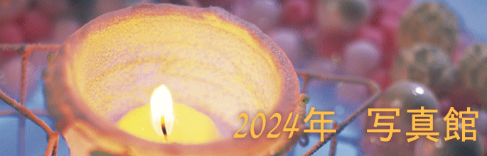 2024�N�@�ʐ^�� 